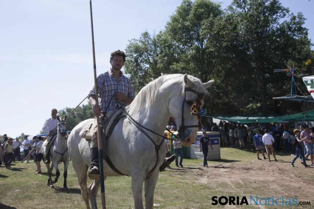 Lavalenguas 2017 / Maria Ferrer