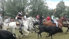 Foto 42 - As&iacute; ha sido la hist&oacute;rica Saca de 2017