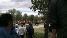 Foto 40 - As&iacute; ha sido la hist&oacute;rica Saca de 2017