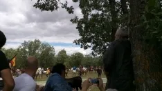 Foto 39 - As&iacute; ha sido la hist&oacute;rica Saca de 2017
