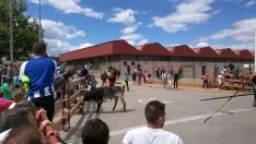 Foto 4 - As&iacute; ha sido la hist&oacute;rica Saca de 2017
