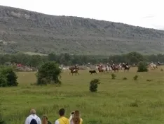 Foto 54 - As&iacute; ha sido la hist&oacute;rica Saca de 2017