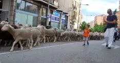 Una imangen de las merinas este viernes. /SN