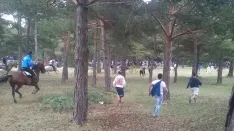 Foto 23 - As&iacute; ha sido la hist&oacute;rica Saca de 2017