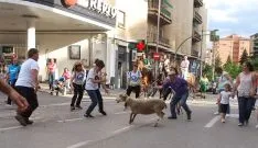 Una imangen de las merinas este viernes. /SN