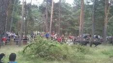 Foto 19 - As&iacute; ha sido la hist&oacute;rica Saca de 2017