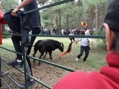 Foto 21 - As&iacute; ha sido la hist&oacute;rica Saca de 2017