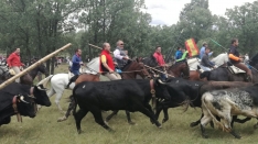 Foto 49 - As&iacute; ha sido la hist&oacute;rica Saca de 2017