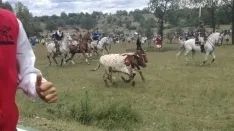 Foto 47 - As&iacute; ha sido la hist&oacute;rica Saca de 2017