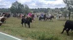 Foto 45 - As&iacute; ha sido la hist&oacute;rica Saca de 2017