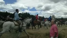 Foto 14 - As&iacute; ha sido la hist&oacute;rica Saca de 2017