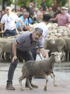 Imagen del paso del ganado por la capital./SN