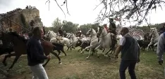 Foto 35 - As&iacute; ha sido la hist&oacute;rica Saca de 2017