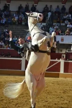 Corrida Rejones tarde del Pregón 2017