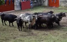 Desencajonamiento 2017