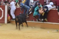 Foto 46 - Alejandro Adame es el triunfador en el Viernes de Toros de la tarde