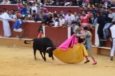 Foto 43 - Alejandro Adame es el triunfador en el Viernes de Toros de la tarde