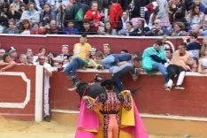 Foto 41 - Alejandro Adame es el triunfador en el Viernes de Toros de la tarde