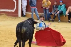 Foto 37 - Alejandro Adame es el triunfador en el Viernes de Toros de la tarde