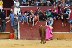 Foto 14 - Alejandro Adame es el triunfador en el Viernes de Toros de la tarde
