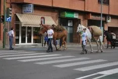 Una imangen de las merinas este viernes. /SN