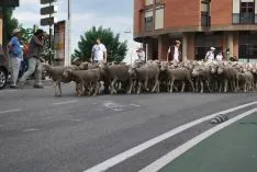 Una imangen de las merinas este viernes. /SN