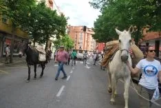Una imangen de las merinas este viernes. /SN