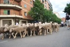 Una imangen de las merinas este viernes. /SN