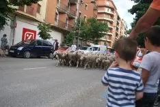 Una imangen de las merinas este viernes. /SN