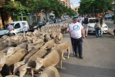 Una imangen de las merinas este viernes. /SN