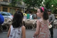 Una imangen de las merinas este viernes. /SN