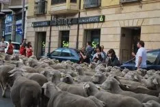 Una imangen de las merinas este viernes. /SN