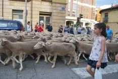 Una imangen de las merinas este viernes. /SN