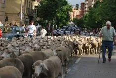 Una imangen de las merinas este viernes. /SN