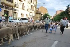 Una imangen de las merinas este viernes. /SN