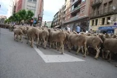 Una imangen de las merinas este viernes. /SN