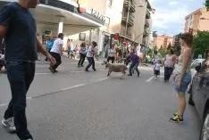 Una imangen de las merinas este viernes. /SN