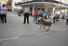 Una imangen de las merinas este viernes. /SN