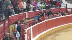 Los astados en La Chata. SN