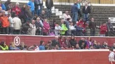 Los astados en La Chata. SN