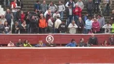 Los astados en La Chata. SN