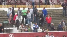 Los astados en La Chata. SN