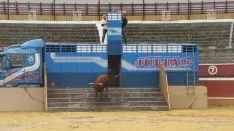 Los astados en La Chata. SN