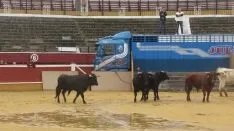 Los astados en La Chata. SN
