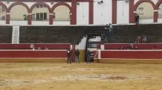 Los astados en La Chata. SN