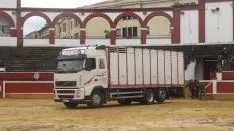 Los astados en La Chata. SN