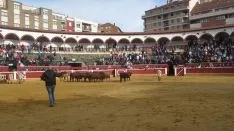 Los astados en La Chata. SN