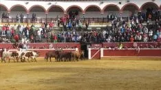 Los astados en La Chata. SN