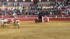 Los astados en La Chata. SN