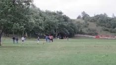 Foto 36 - 7+5 novillos en el encierro previo a la Saca